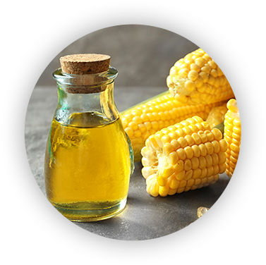 Corn
oil