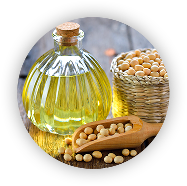 Soybean
oil